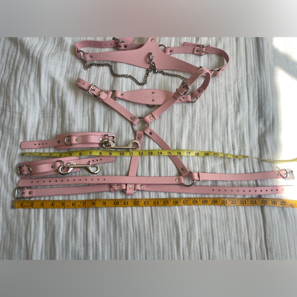 Anoeses Leather Pink Terra bondage Lingerie Set - Picture 12 of 17